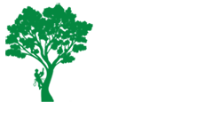 elagage-naveri-elagage-13